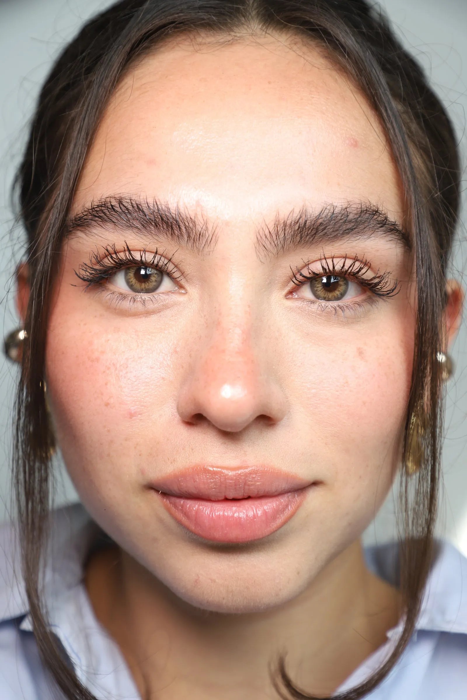 DNA TAYLOR BROWN HAZEL MEDIDA